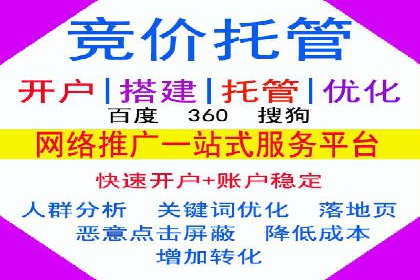 热门SEM运营公司案例深度剖析